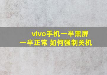 vivo手机一半黑屏一半正常 如何强制关机